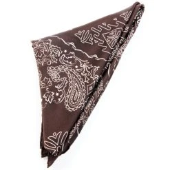Top 10 ⌛ Cody James Men's Brown Silk Wild Rag Bandana ????