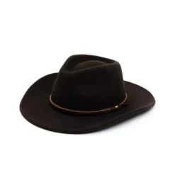 Budget ???? Cody James Men's Brown Wool Felt Western Hat ????