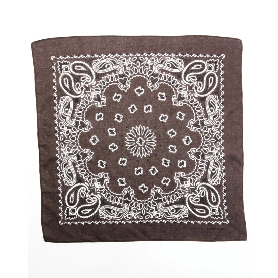 Wholesale ???? Cody James Men's Paisley Print Bandana For ???? Women Brown ???? 2 Wholesale ???? Cody James Men's Paisley Print Bandana For ???? Women Brown ???? - Image 2