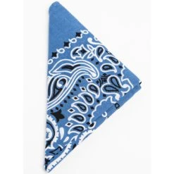 Best deal ???? Cody James Men's Indigo Western Bandana ????