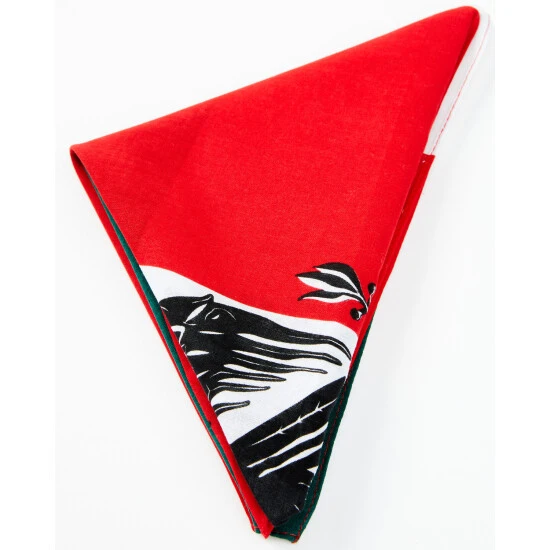 Best Sale ???? Cody James Men's Mexican Flag Bandana Multi ✔️ 3 Best Sale ???? Cody James Men's Mexican Flag Bandana Multi ✔️ - Image 3